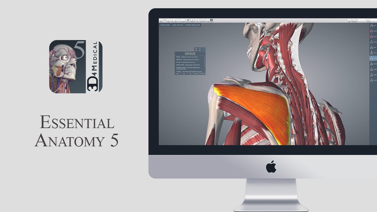essential anatomy 5 free